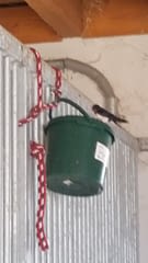 20190723_schwalbenfreundliches_Haus_Heidi_Ingolf_Ahrens_Eimer 20190723_schwalbenfreundliches_Haus_Heidi_Ingolf_Ahrens_Eimer