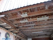 20171027_SchwalbennesterEichstettenHiss 20171027_SchwalbennesterEichstettenHiss