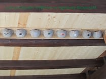 20180417_Fam_Treffeisen_Schwalben1 20180417_Fam_Treffeisen_Schwalben1