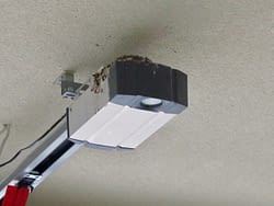 20190327_schwalbenfreundliches_Haus_Isele_Neri_Nest 20190327_schwalbenfreundliches_Haus_Isele_Neri_Nest