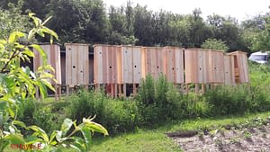 20170523_Bild 5_HP 20170523_Bild 5_HP