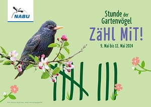 Stunde der Gartenvögel