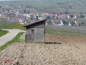 20090403_Bild_2_HP 20090403_Bild_2_HP