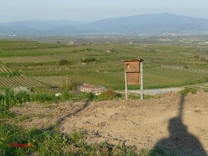 20130424_Bild 3_HP 20130424_Bild 3_HP