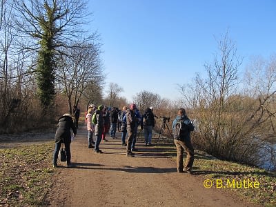 20220213_Wasservogelexkursion2 20220213_Wasservogelexkursion2