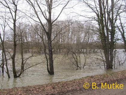 20210204_Hochwasser