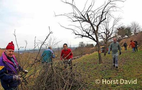 20220128_KWB_Polizeiapfel_hat_wieder_zukunft3 20220128_KWB_Polizeiapfel_hat_wieder_zukunft3