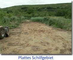 Umweltfrevel II